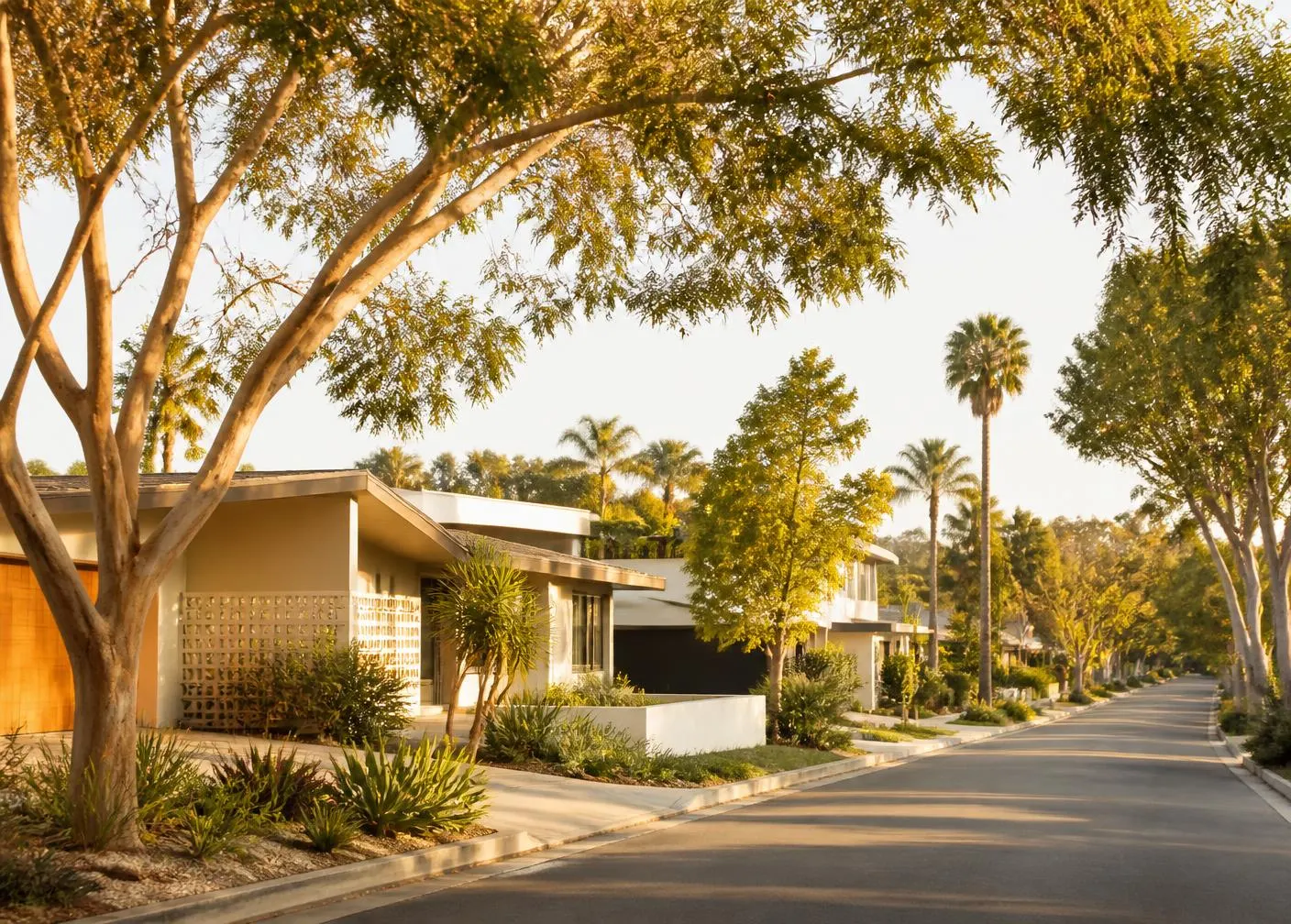 Tree-lined residential street of mid-century homes in Orange County, California